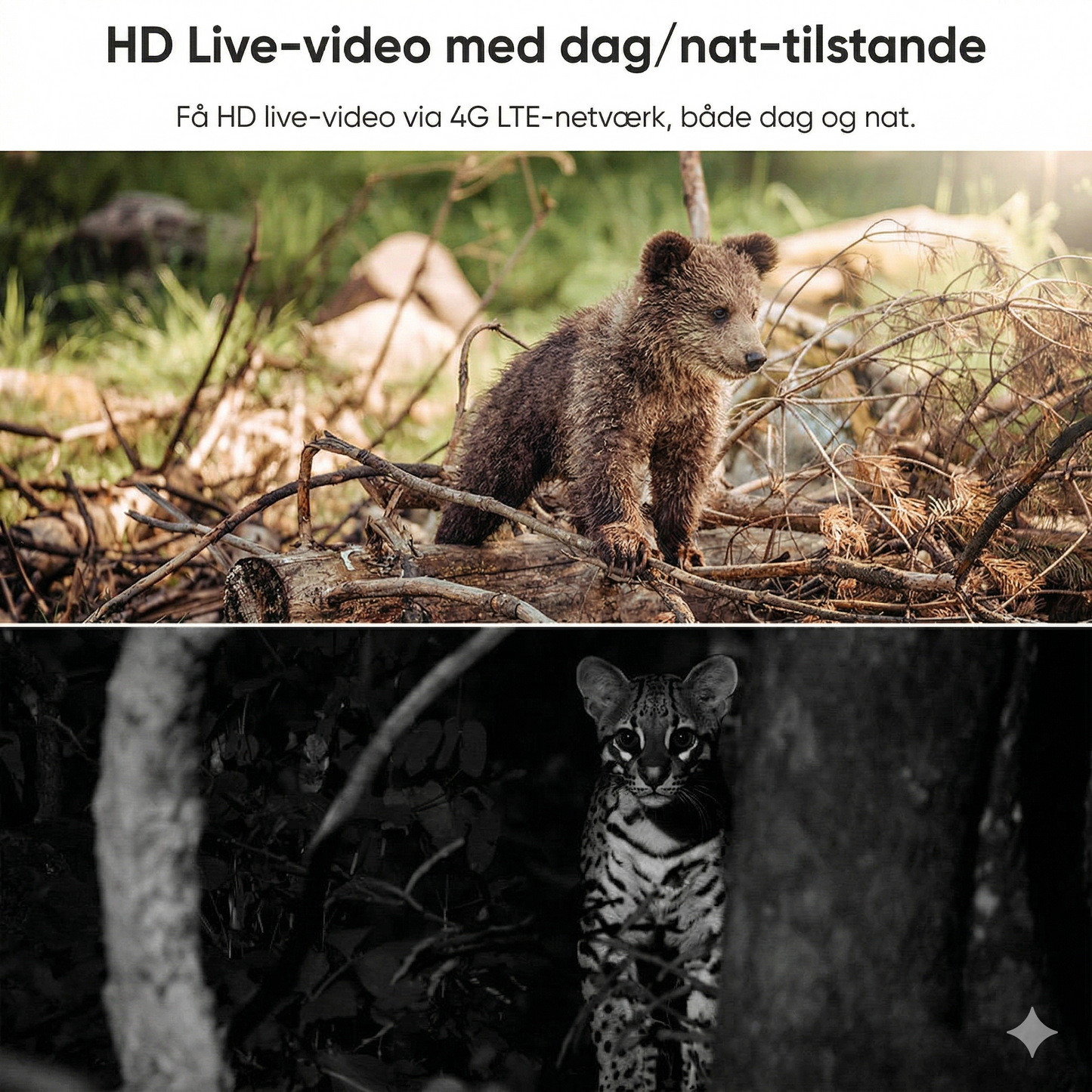 4G LTE Solcelle Overvågningskamera – 2K HD & 360° Panorama (Intet Wi-Fi påkrævet)