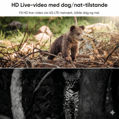 4G LTE Solcelle Overvågningskamera – 2K HD & 360° Panorama (Intet Wi-Fi påkrævet)