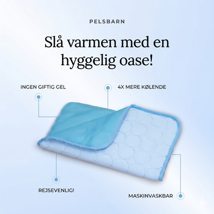 Naturlig og Sikker Kølemåtte til Kæledyr