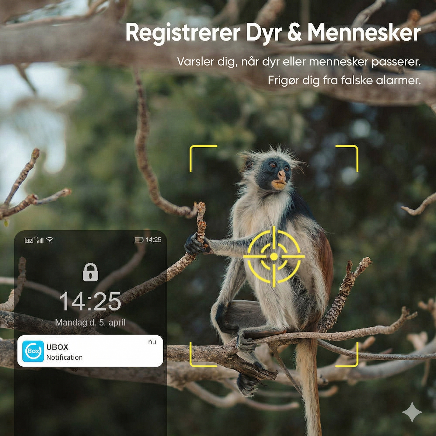4G LTE Solcelle Overvågningskamera – 2K HD & 360° Panorama (Intet Wi-Fi påkrævet)