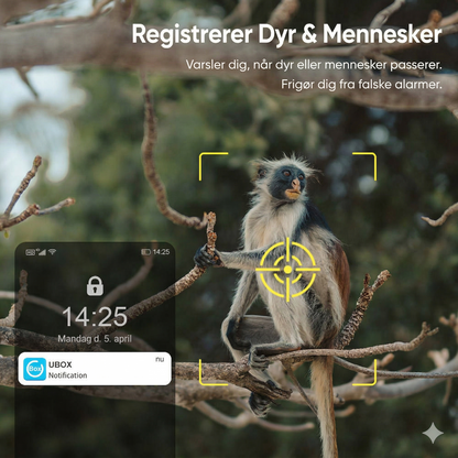 4G LTE Solcelle Overvågningskamera – 2K HD & 360° Panorama (Intet Wi-Fi påkrævet)