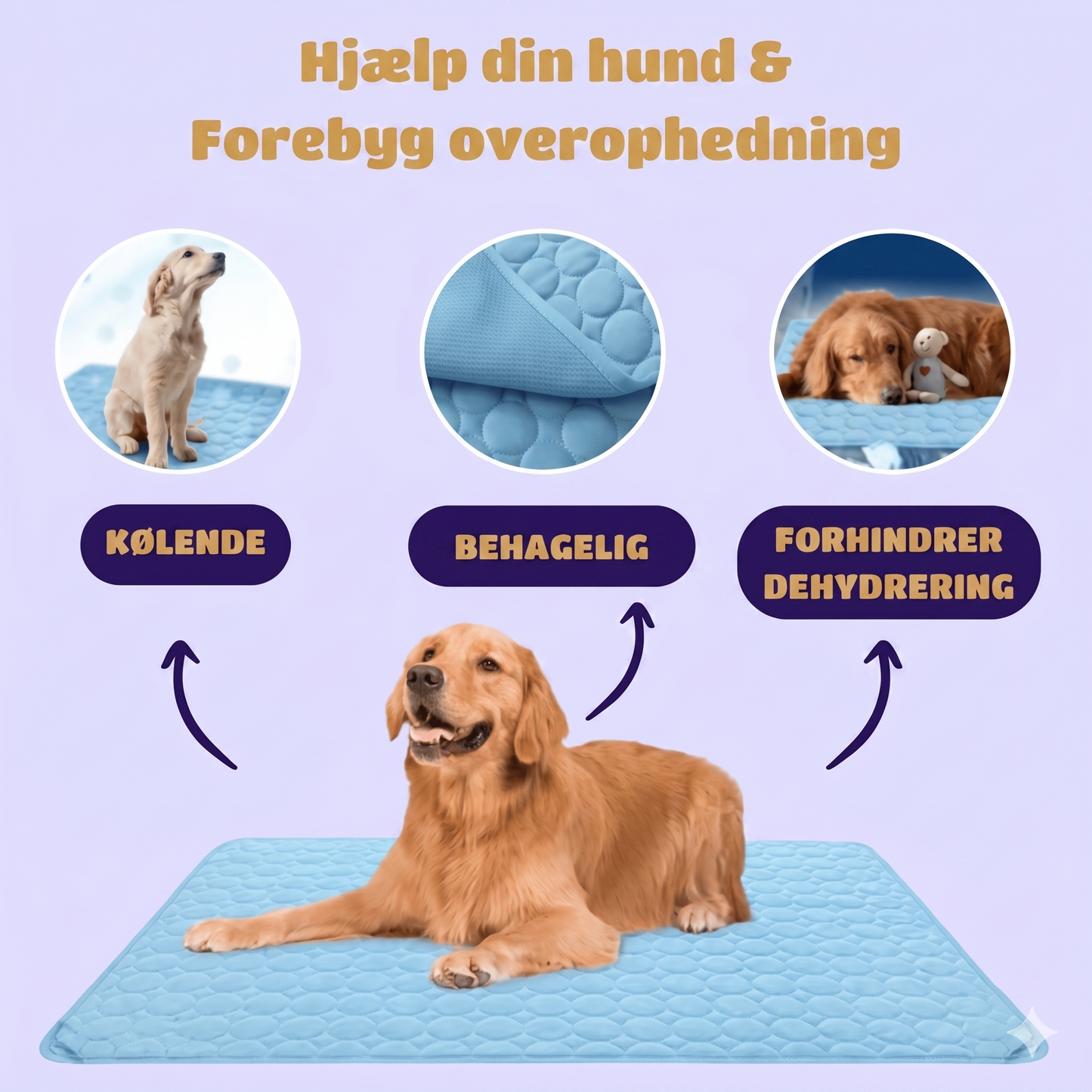 Naturlig og Sikker Kølemåtte til Kæledyr