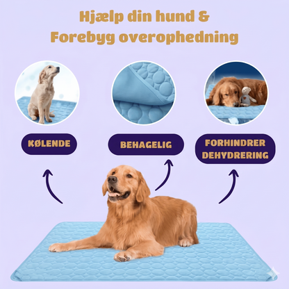 Naturlig og Sikker Kølemåtte til Kæledyr