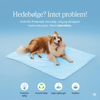 Naturlig og Sikker Kølemåtte til Kæledyr