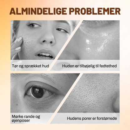 Hudvenligt Dobbeltfunktionelt Alt-i-et Makeupbørste og Blendingssvamp Sæt