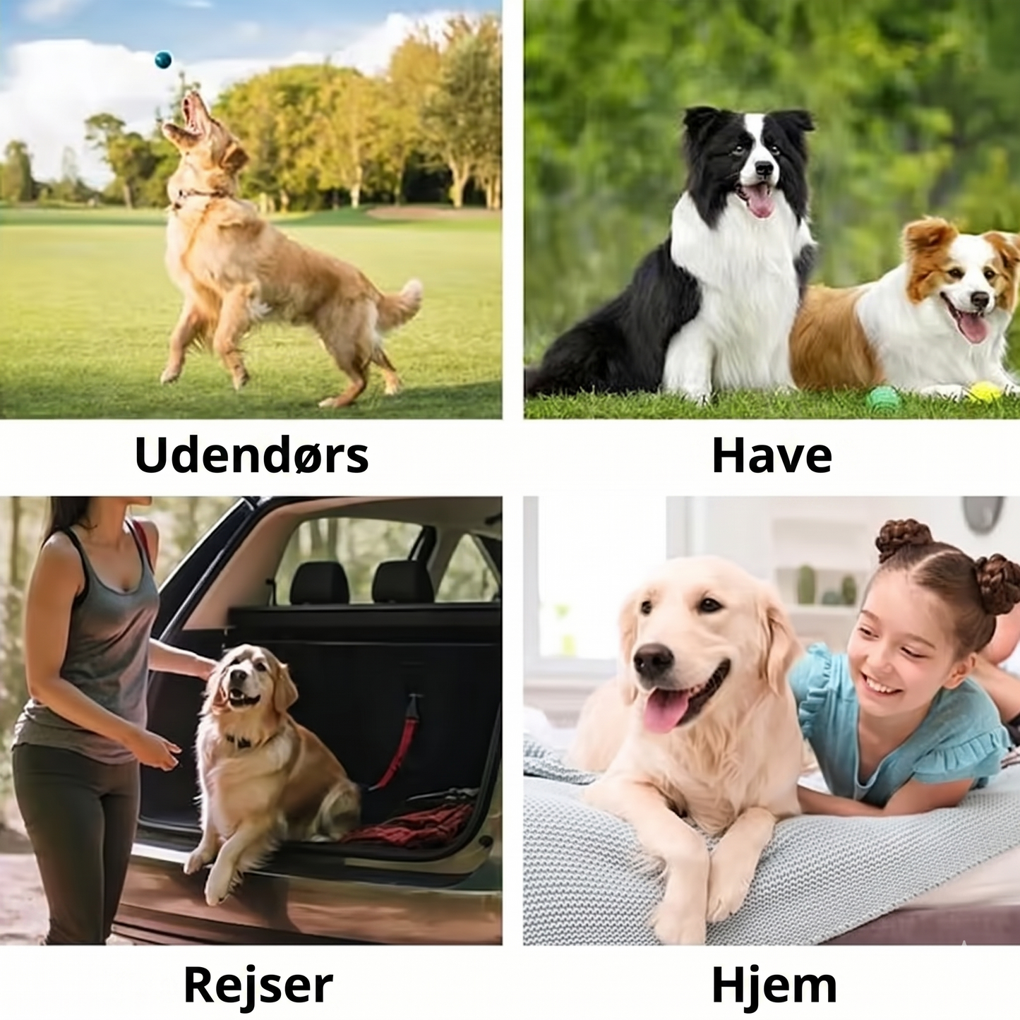 Vandfrie Rengøringshandsker til Kæledyr