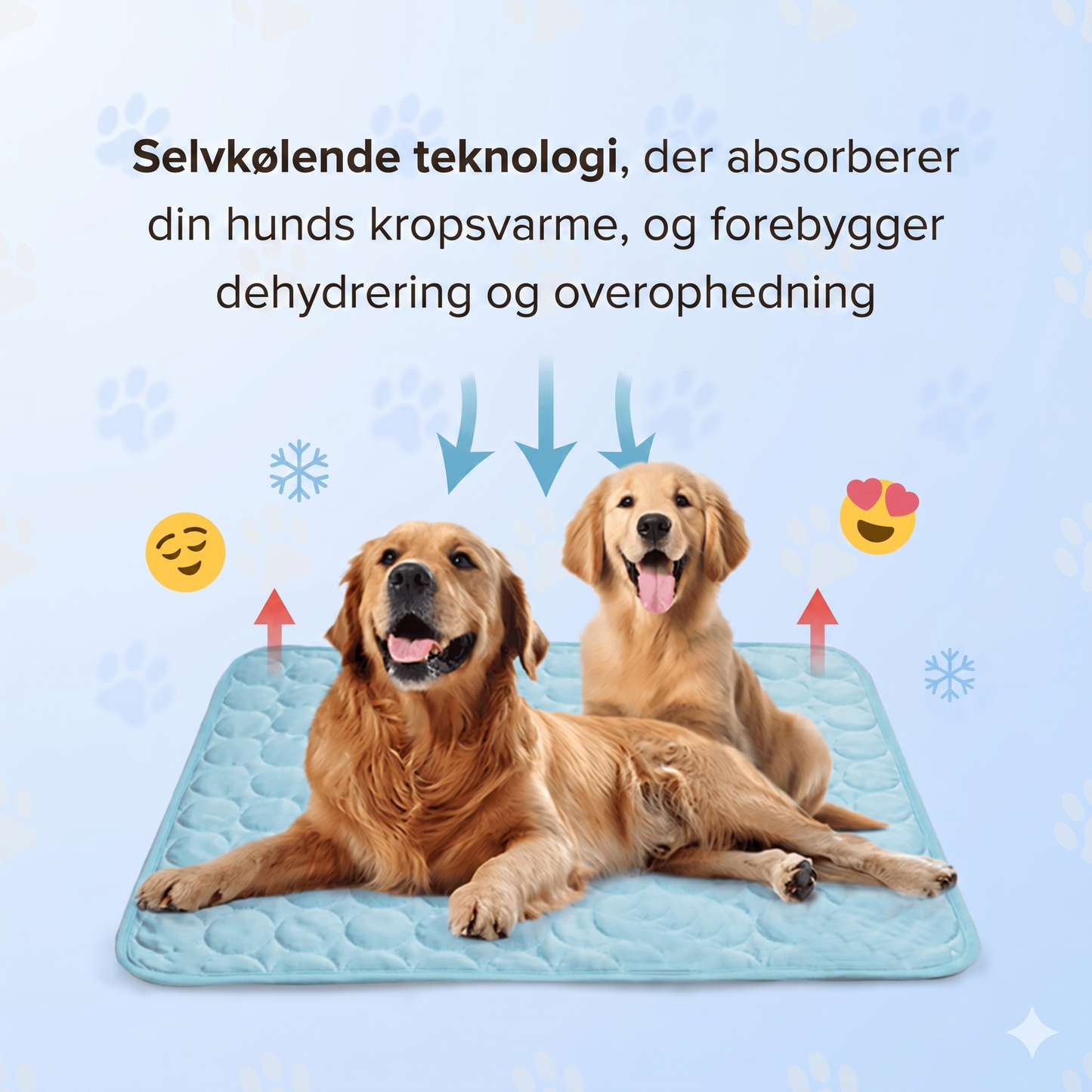 Naturlig og Sikker Kølemåtte til Kæledyr