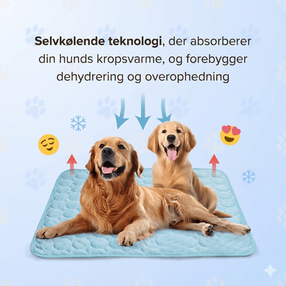 Naturlig og Sikker Kølemåtte til Kæledyr