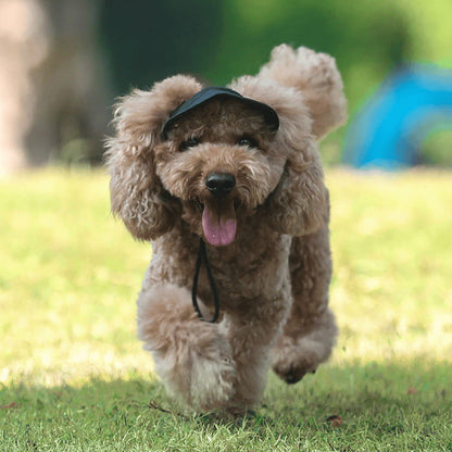 Justerbar Sommerhat til Hunde – Solbeskyttelse & Komfortabel Pasform