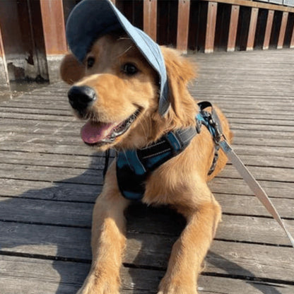 Justerbar Sommerhat til Hunde – Solbeskyttelse & Komfortabel Pasform