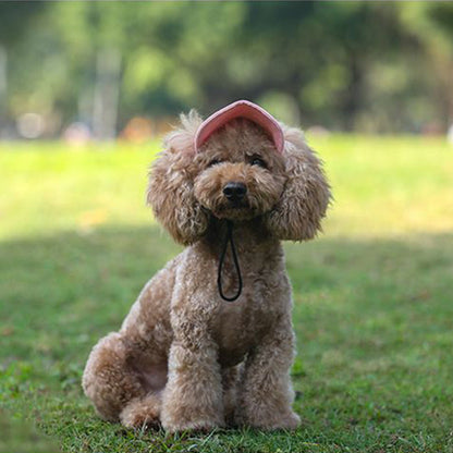 Justerbar Sommerhat til Hunde – Solbeskyttelse & Komfortabel Pasform
