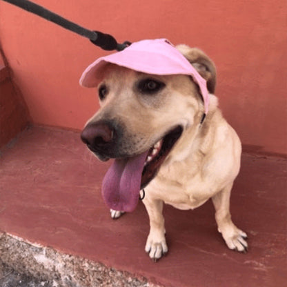 Justerbar Sommerhat til Hunde – Solbeskyttelse & Komfortabel Pasform