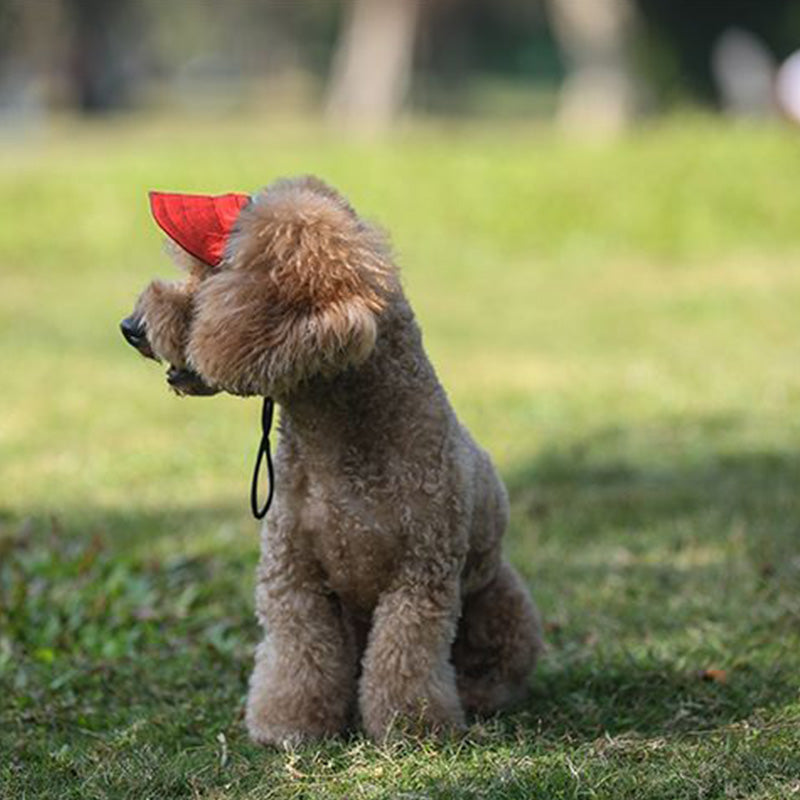 Justerbar Sommerhat til Hunde – Solbeskyttelse & Komfortabel Pasform